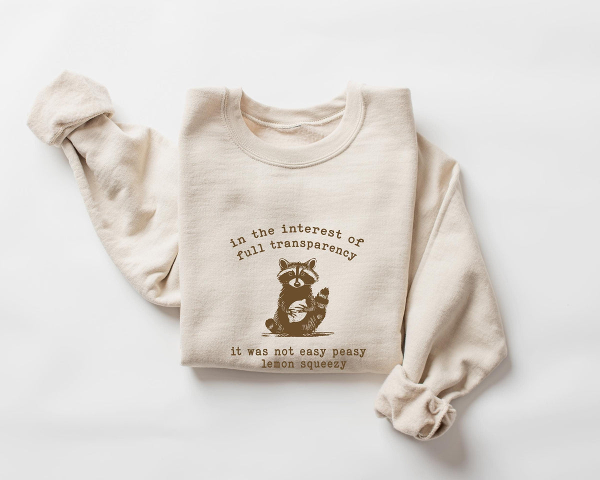 In The Insterest Of Full Transparency Sweatshirt KMH, Funny Raccoon Hoodie, Retro 90s Raccoon Shirt, Sarcastic Sweatshirt, Funny Gift