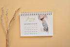 2027 Bird Desk Calendar, Watercolor Birds, Small Standing Flip Calendar, Bird Lover Gift
