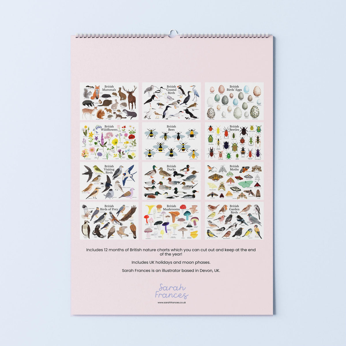 2027 British Nature Wall Calendar – Illustrated Nature charts, Monthly Planner (A4)